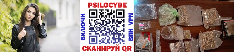 Псилоцибиновые грибы Psilocybine cubensis Адыгейск